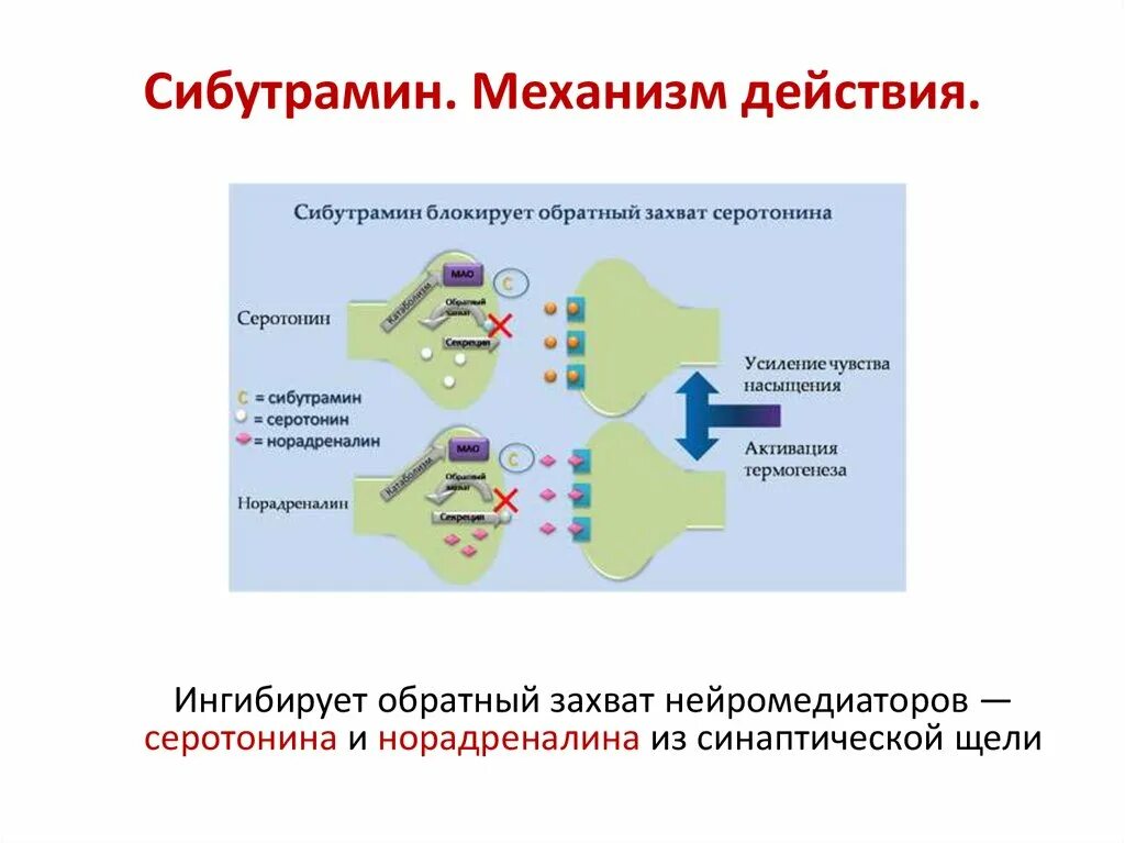 Сибутрамин механизмтдействи. Ингибирование обратного захвата серотонина механизм. Механизм действия сибутрамина. Ингибиторы обратного захвата серотонина и норадреналина.