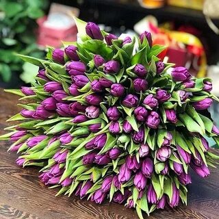 Сиреневые тюльпаны букет
