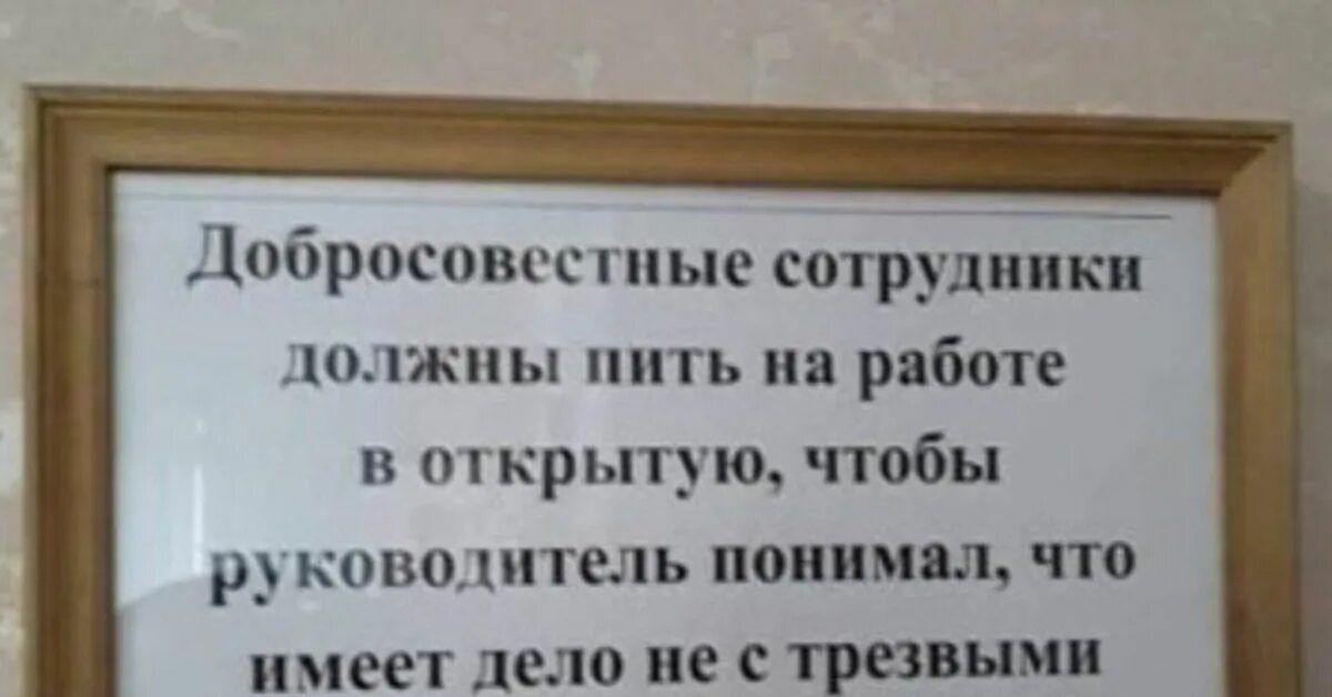 Что говорит понятой. Добросовестные сотрудники должны. Бухать на работе. Пить на работе нужно в открытую. Добросовестные сотрудники должны пить на работе в открытую.