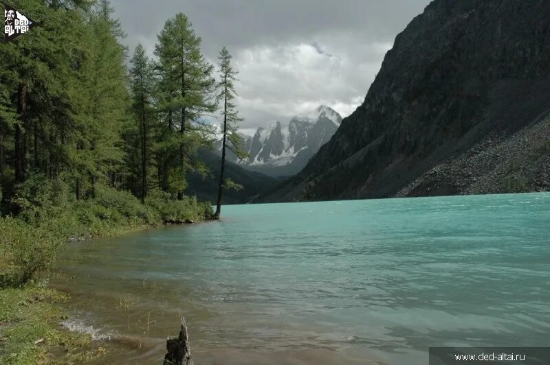 мультинские озёра усть-коксинский район. озеро дед. старик купается. озеро дед. акемское озеро горный алтай.