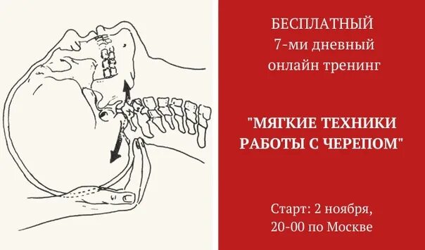 Остеопатия череп. Краниосакральная терапия черепа. краниально сакральная терапия. кранио сакральный ритм. краниосакральное дыхание черепа.
