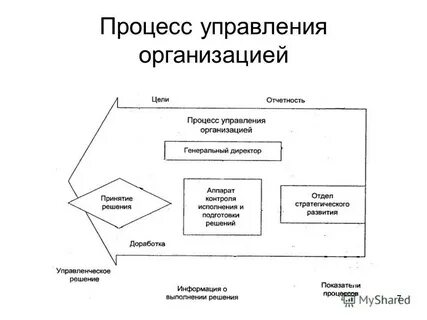 Процессы выполняемые в организации