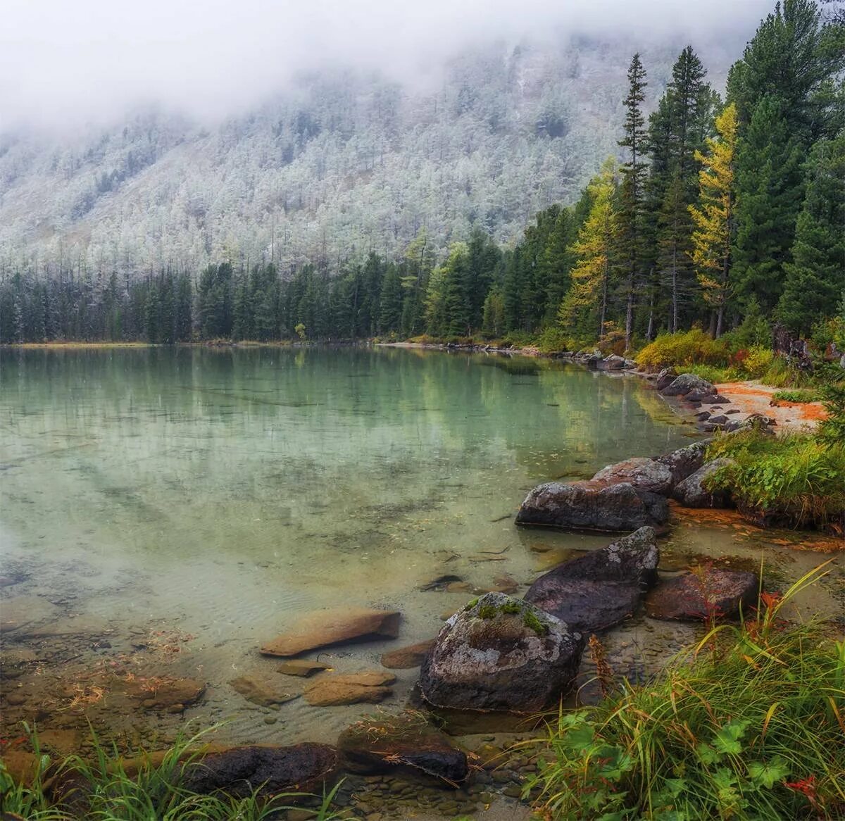 Озера алтайского края фото. Сибирь горный Алтай. Таёжное озеро горный Алтай. Мультинские озера. Мертвое озеро Чейбеккель горный Алтай.