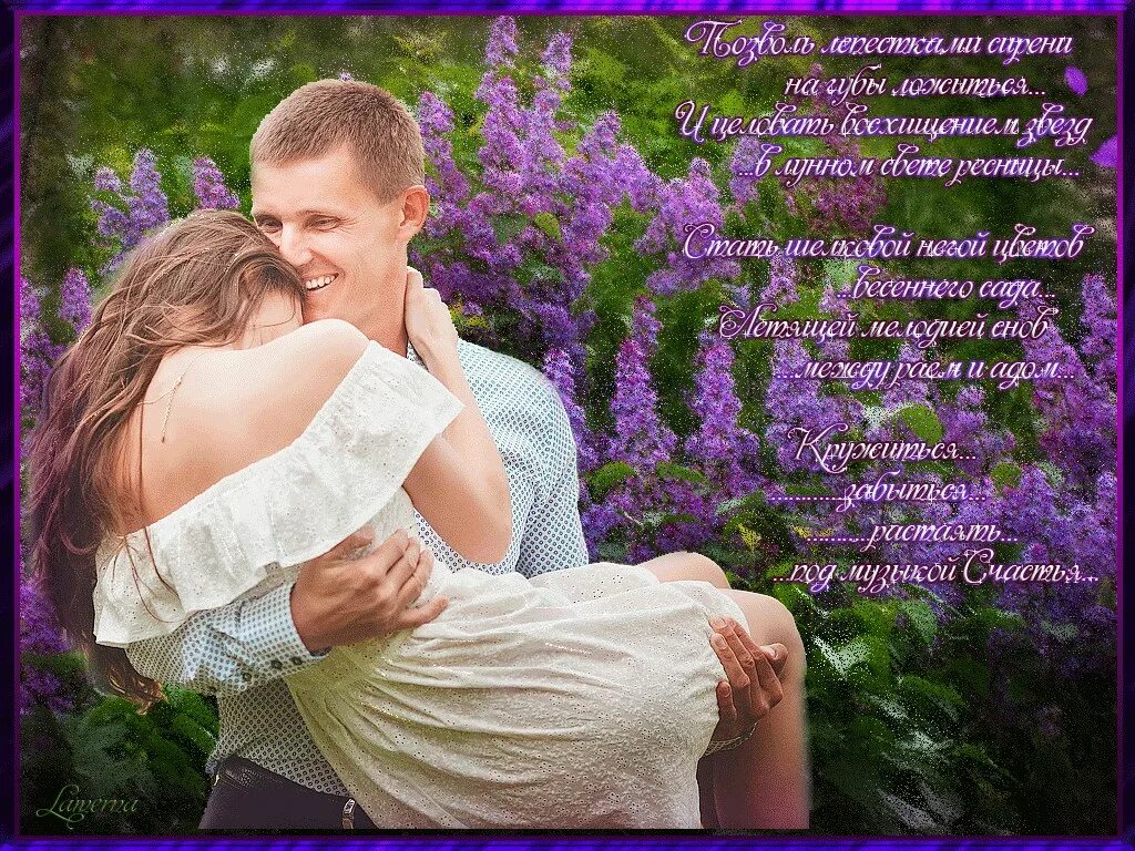 песня я твои целовал колени слушать. одинокая ветка сирени караоке. песня я твои целовал колени слушать. одинокая ветка ветка сирени. весна любовь.