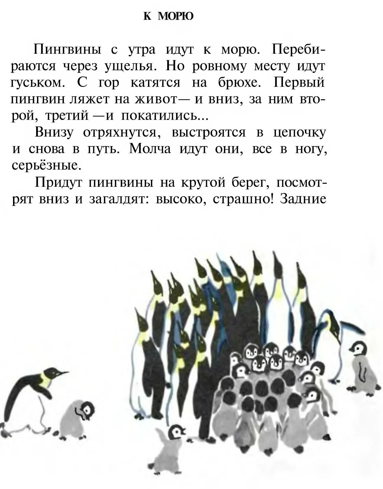 Рассказ про пингвинов Снегирев. Г Снегирев рассказы про пингвинов. Пересказ рассказа г снегирева про пингвинов