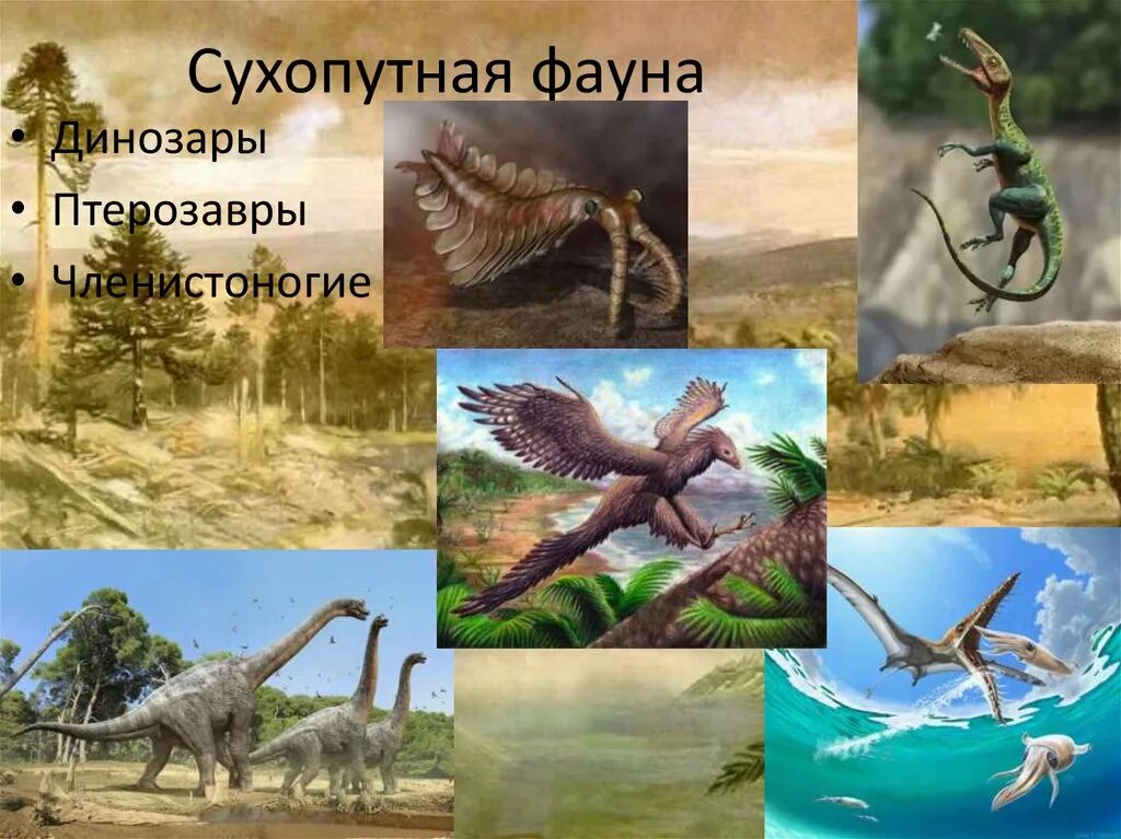 В мезозойскую доминирующей группой наземных животных были. Представители животного мира мезозойской эры. расцвет динозавров в мезозойскую эру. фауна мезозоя. мезозойская эра биология 9 класс.