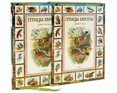Издательство белая птица