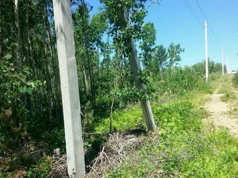 Купить участок иркутск снт. СНТ Пролетарий Иркутск Мельничная Падь. Участок СНТ. СНТ красный Пролетарий. СНТ апика Мельничная Падь.