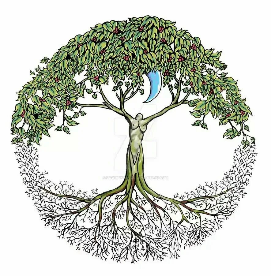 Tree to tree. Древо жизни с корнями. родовое древо корни рода. &quot;tree of life&quot; (&quot;дерево жизни&quot;) by degree. дерево с корнями и кроной.