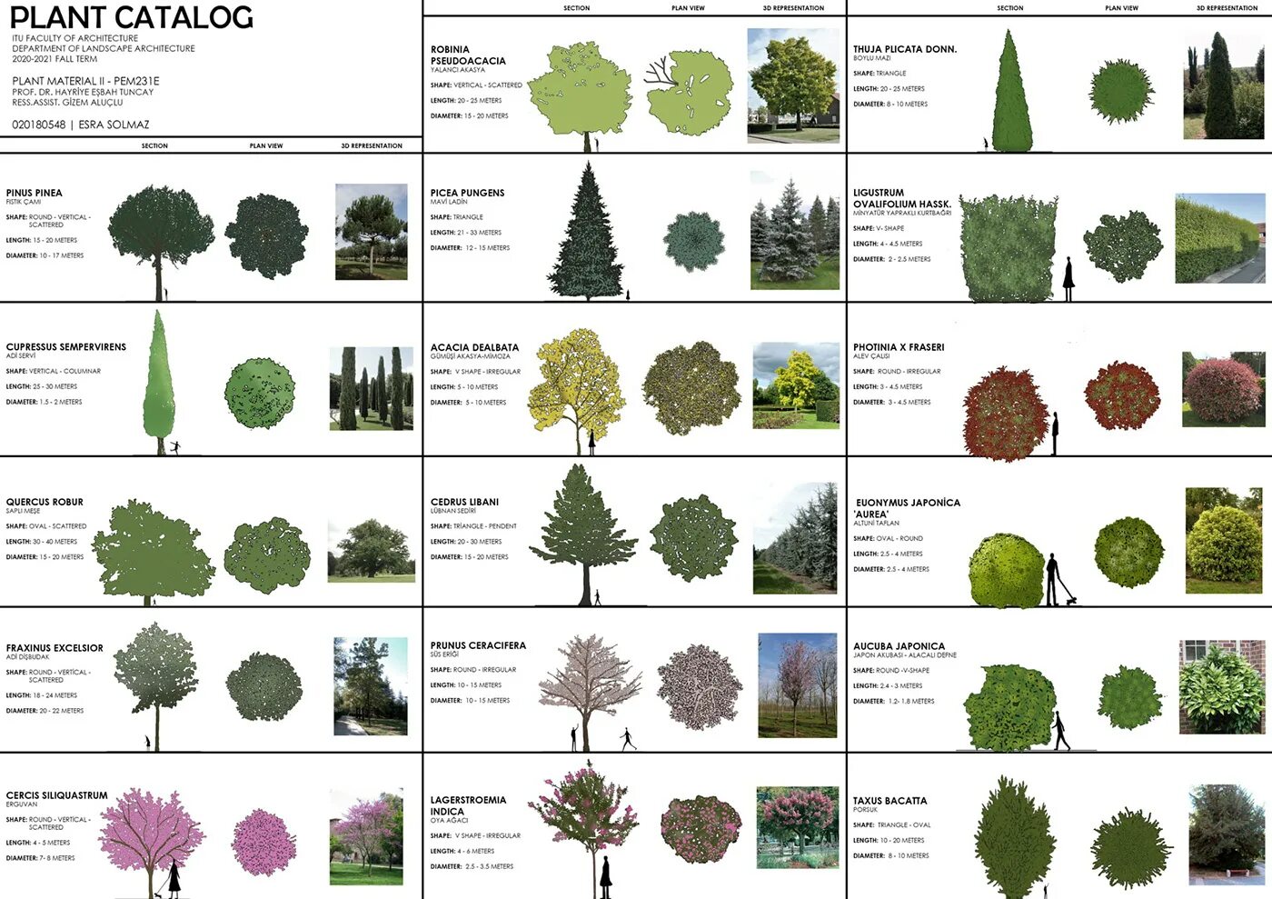 Catalogue of Plants. Каталог растений. Architecture catalogue. Catalogue about Plants. Плант каталог