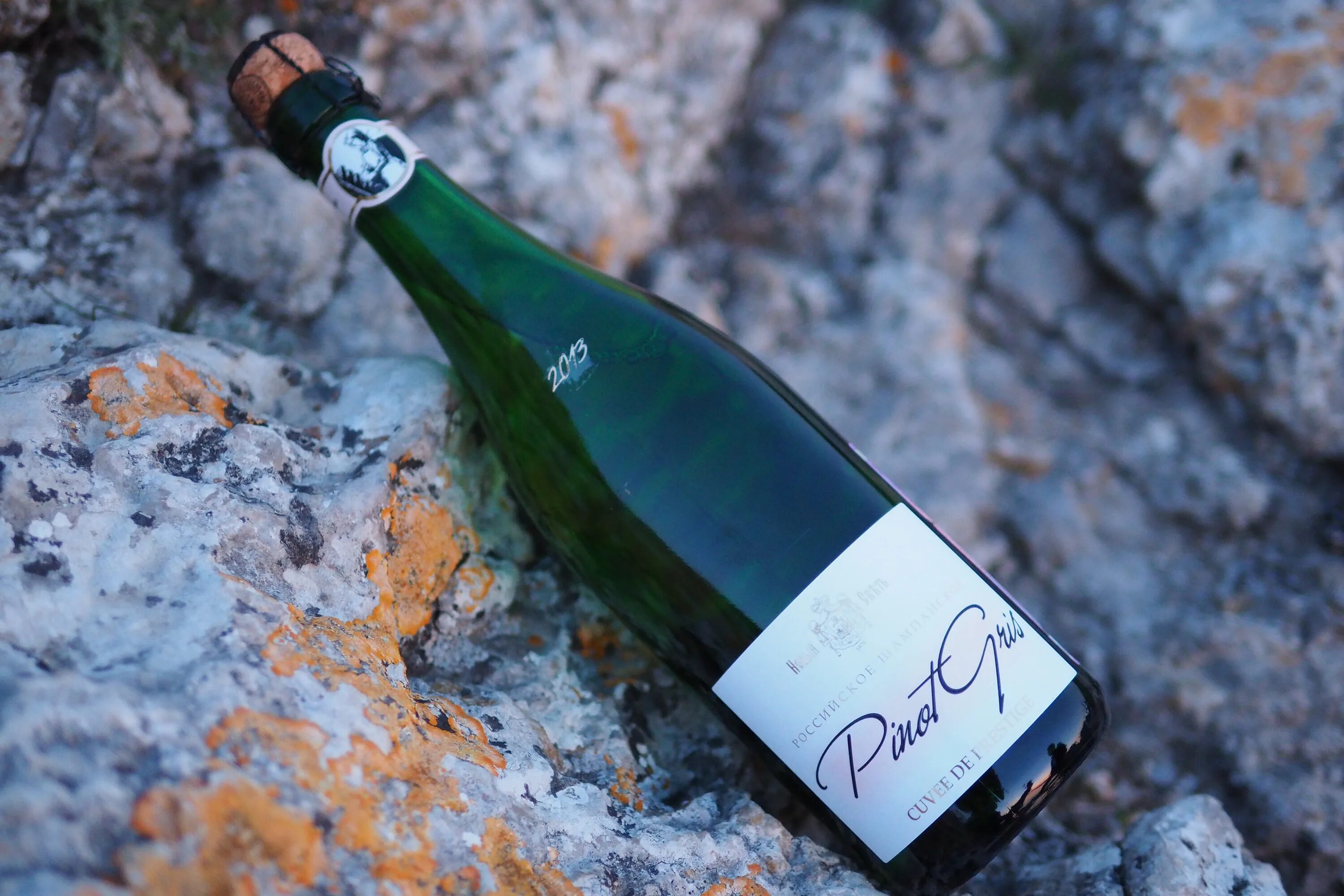 логотип завода шампанских вин новый свет. шампанское новый свет полусладкое. новый свет игристое пино гри. пино фран игристое выдержанное. новый свет шампанское красное крымское.