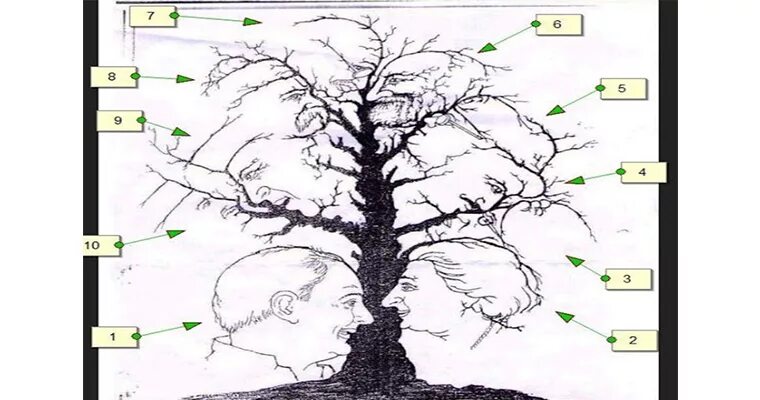 Тест альцгеймера сколько лиц на картинке. Дерево с лицами тест. Тест на Альцгеймера дерево. Сколько лиц на картинке дерево. Тест на Альцгеймера в картинках.