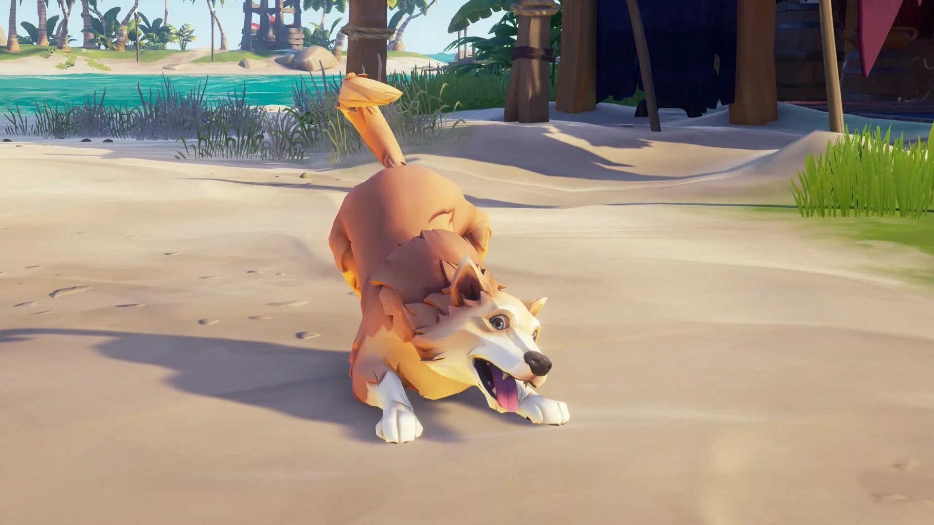Pet them. Sea of Thieves питомцы. Sea of Thieves пес. Sea of Thieves Sea Dogs. Питомцы в море воров.