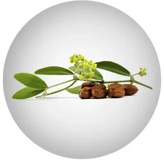 Citrus dulcis oil