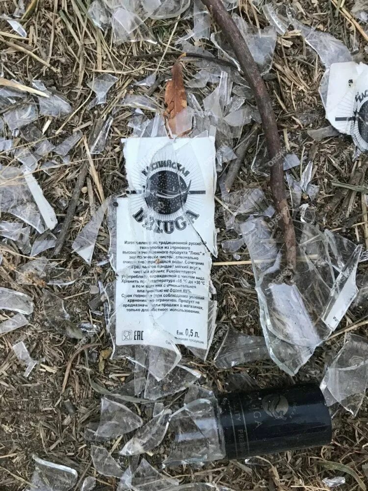 Битая ссылка. Альмера g15 каршеринг. Битая ссылка на картинку. Битые ссылки. Найди битая.