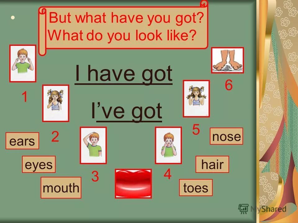 Have classes нарисованная. Daily life презентация. Does she have или has. Did you have и had you. What time do you.