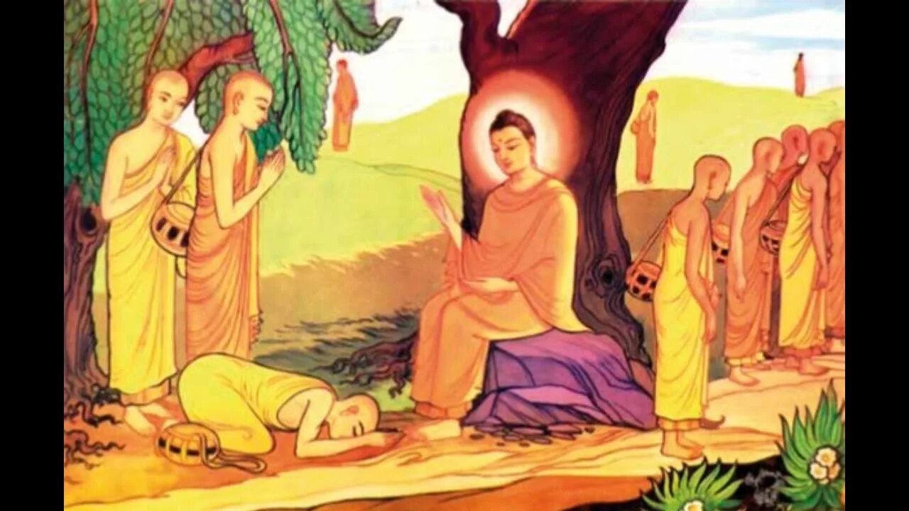 Отверженная рассказ на дзен. Четыре знамения Будды. Ньяя сутра. Будда чьё воплощение. Жизнь Будды кого он увидел.