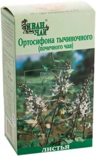 Почечный лист