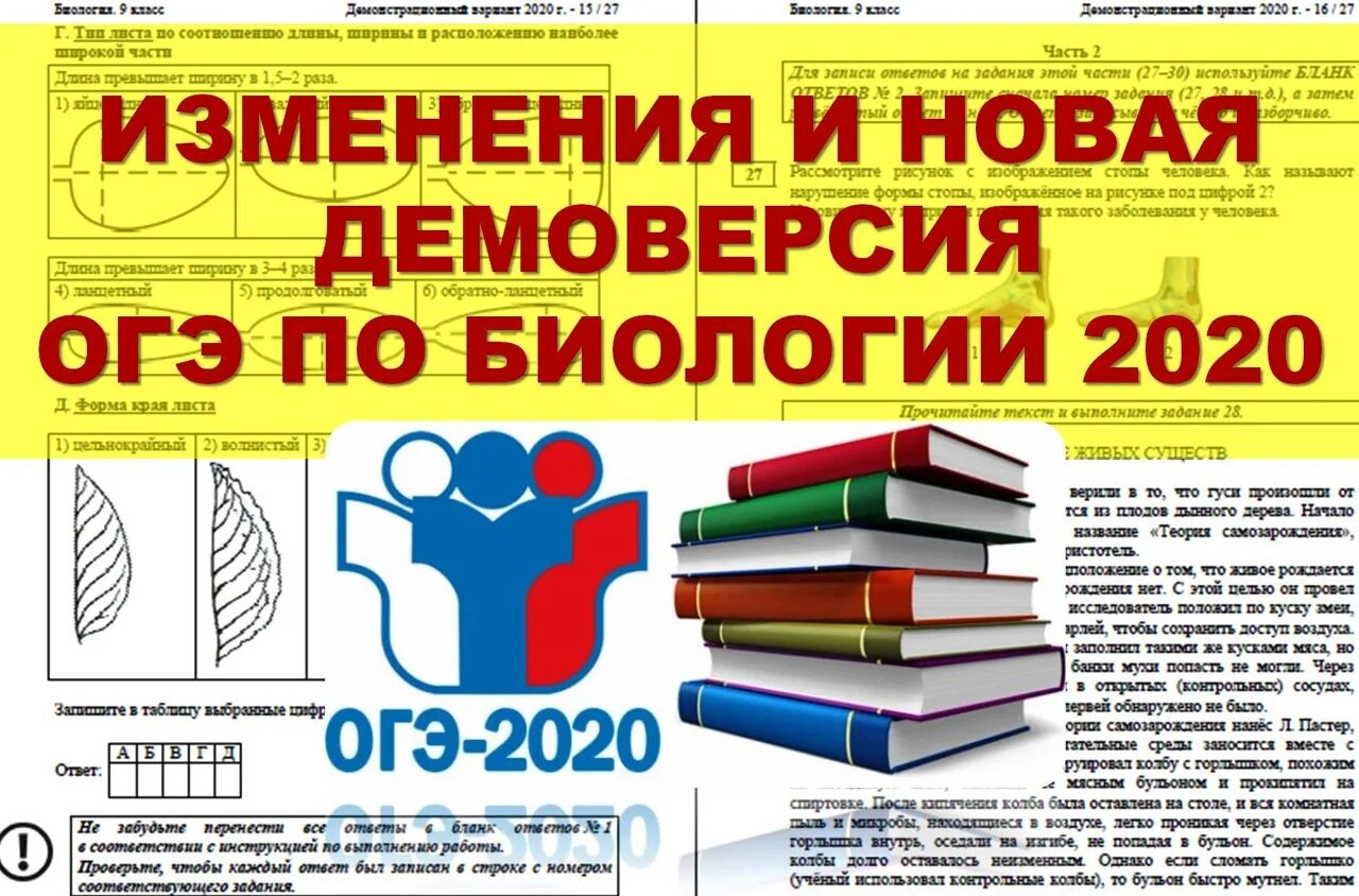 ОГЭ биология 2020. Материал для стенда ОГЭ по биологии. ОГЭ по биологии 2020. Подготовка к ОГЭ по биологии 2023.