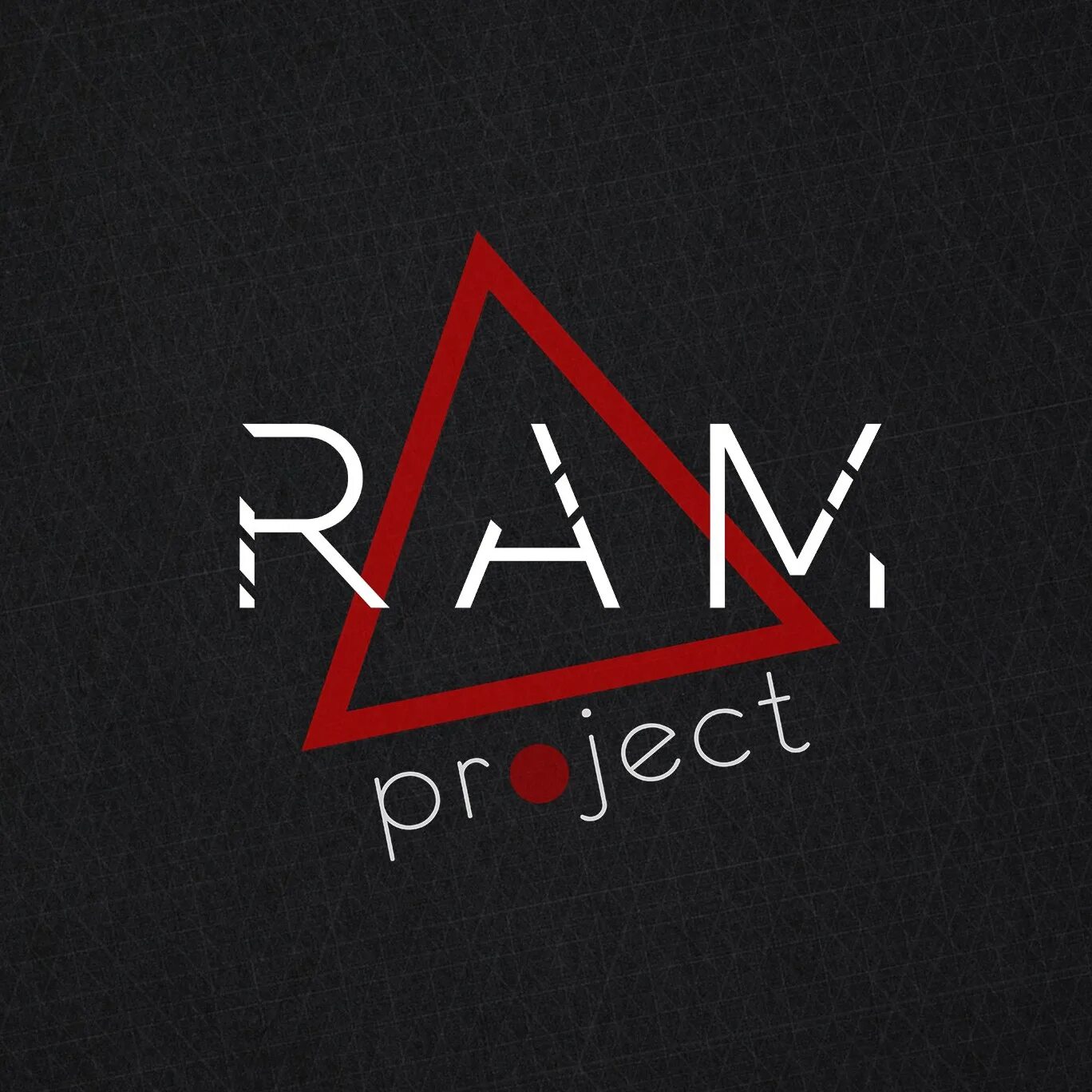 Ram programs. Ram Project группа. Рам Проджект группа. Рам групп. Ram Project.