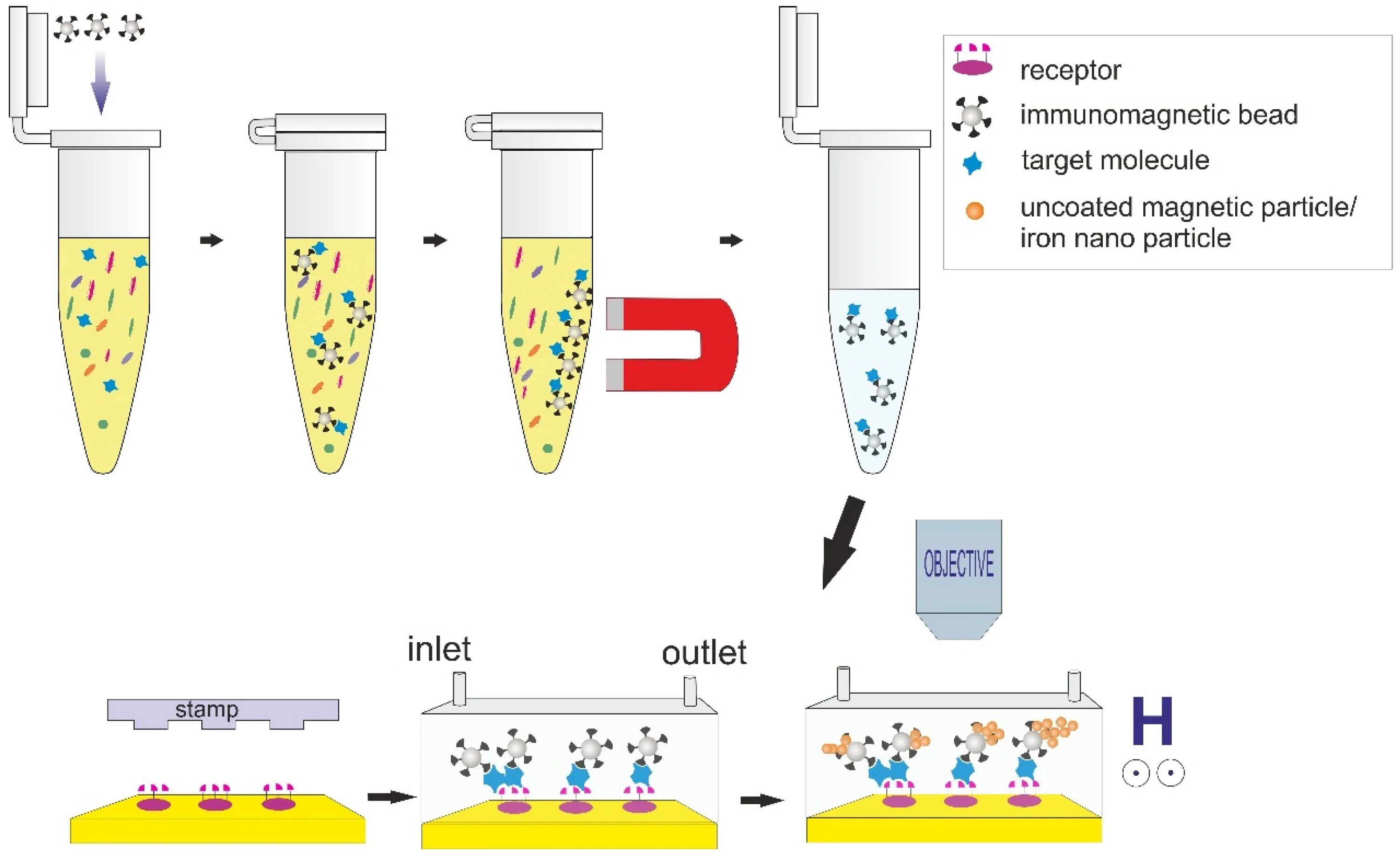 Magnetic response. Magnetic test. Magnetic particles. Magnetic particle test. Magnetic particles.