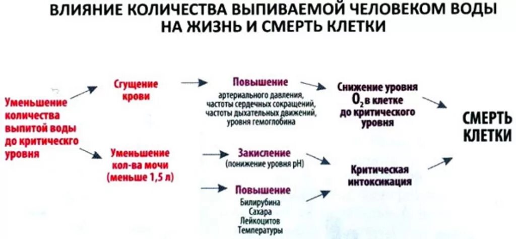 Чем можно разжижить кровь. Народные средства для разжижения крови. Препараты для сгущения крови. Сгущение крови причины. Что разжижает кровь человека.