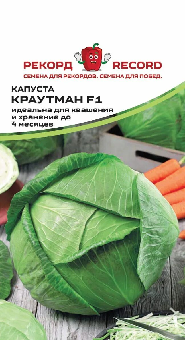 Капуста белокочанная Краутман F1 : семена : купить онлайн