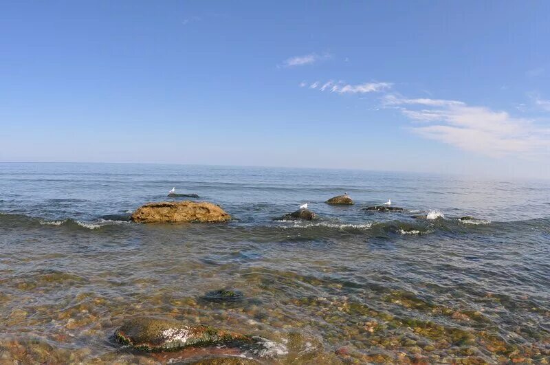 приморье калининград. погода в приморье калининградская. посёлок приморье калининградская область. погода в приморье калининградская. посёлок приморье калининградская область.