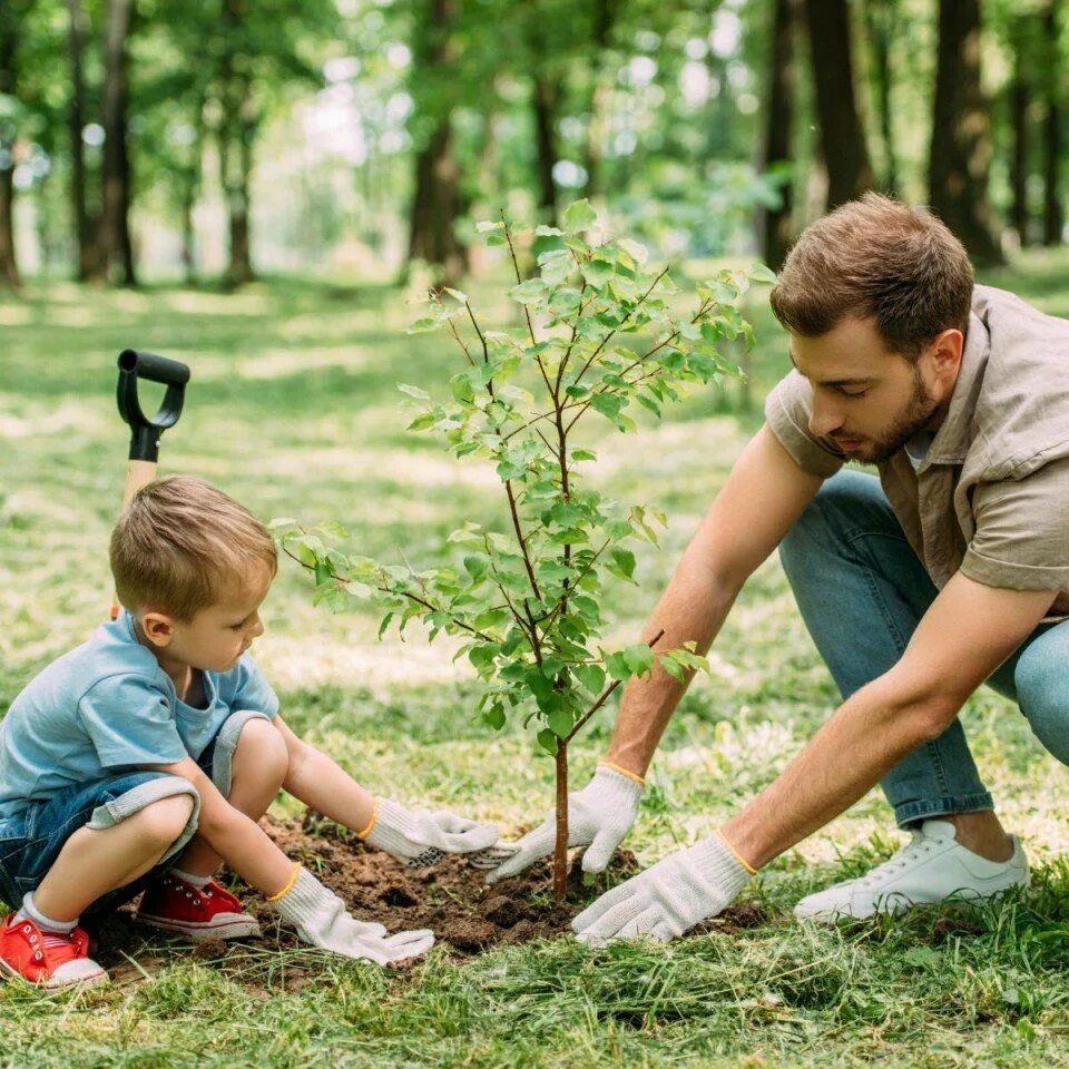 Высадка деревьев. Люди сеющие. Сажать деревья. Посадка деревьев волонтерами. Посадка деревьев.
