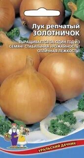 Лук золотые купола описание сорта отзывы