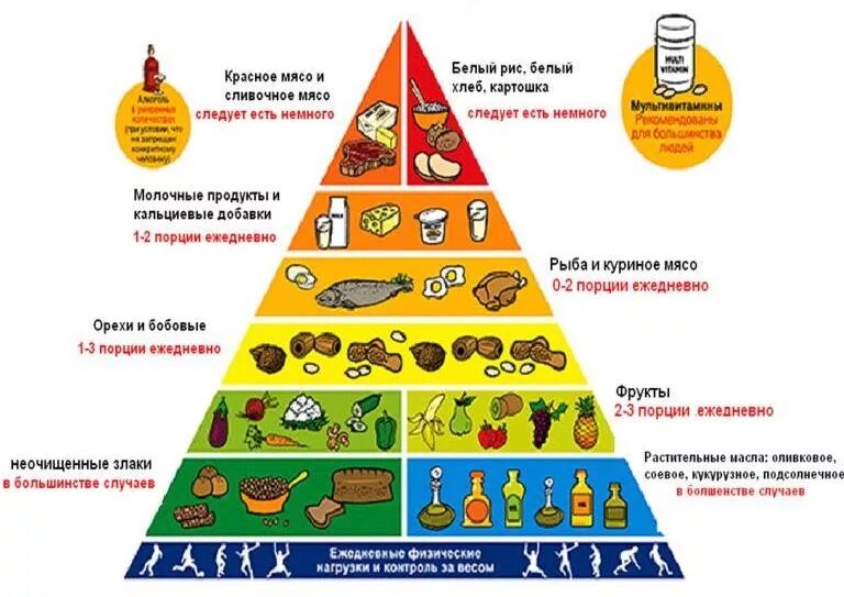 Укажите уровни пищевой пирамиды начиная с продуктов. Пирамида рационального питания. Таблица питания пирамида. Пищевая пирамида Гарвардская. Рацион здорового питания.