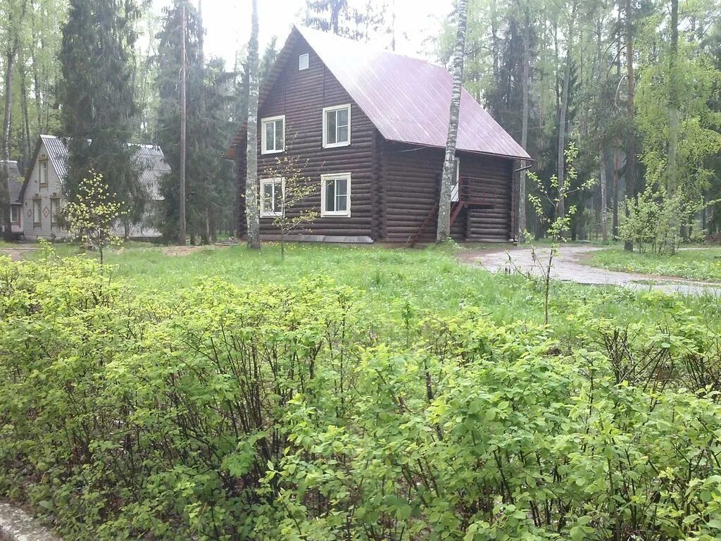 Поселок зеленый городок пушкинский. Лагерь зелёный городок Ивановская область. Зеленый городок Архангельская область. Санаторий зелёный городок Ивановская область. Поселок ломы Ивановская область зеленый городок.