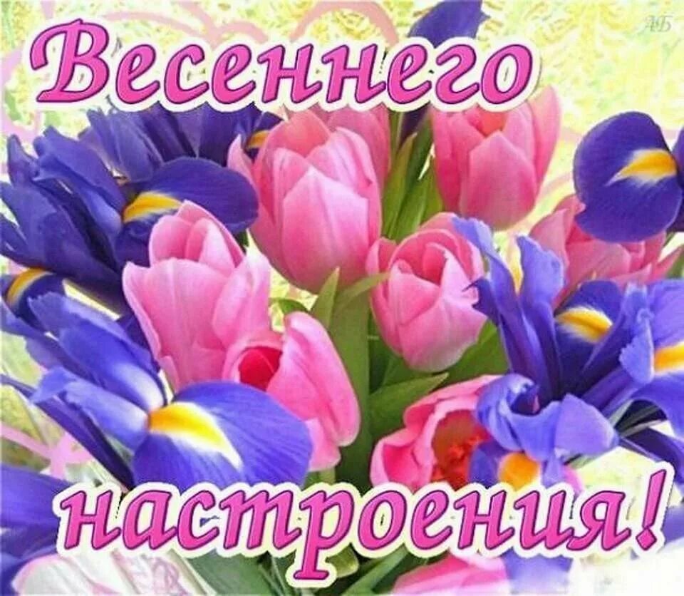 Доброго весеннего дня и отличного настроения. Открытки весеннего настроения. хорошего весеннего дня. отличного весеннего дея. открытка весеннее настрое.