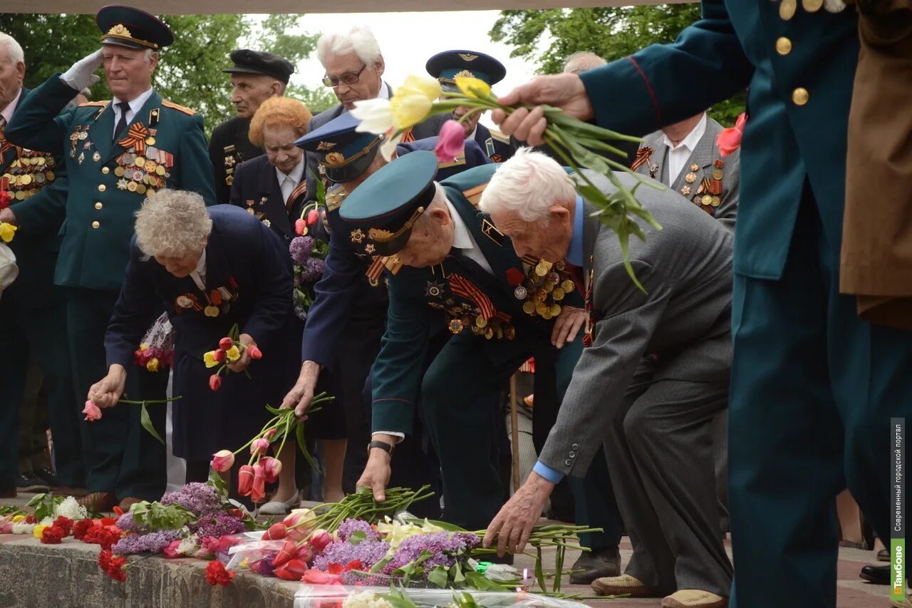 В знак памяти и уважения. Возложение цветов на могилы ветеранов ВОВ. Ветеран возлагает цветы. Ветеран у могилы неизвестного солдата. Возложение цветов к Вечному огню.