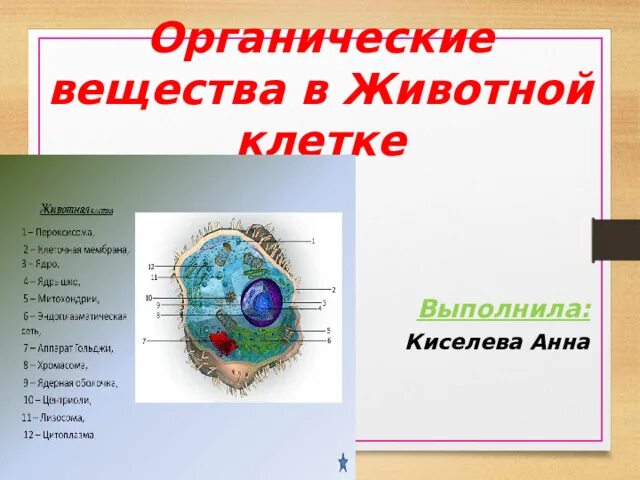 Органические вещества животные клетки