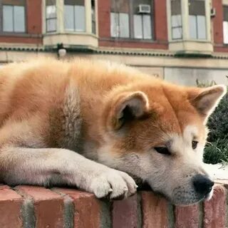 2 дня подожди