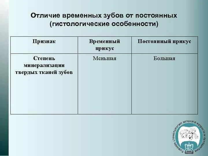 Группы по временному признаку. Особенности строения временных зубов. Особенности постоянных зубов. Отличия временных и постоянных зубов. Отличия молочных и постоянных зубов таблица.