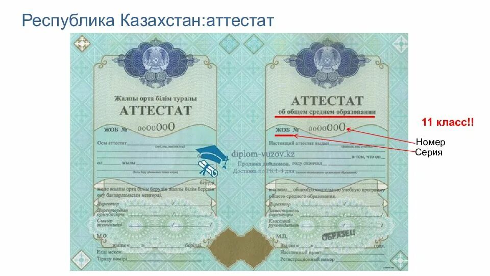 Как выглядит номер аттестата Что будет если не будет образования: найдено 85 изображений