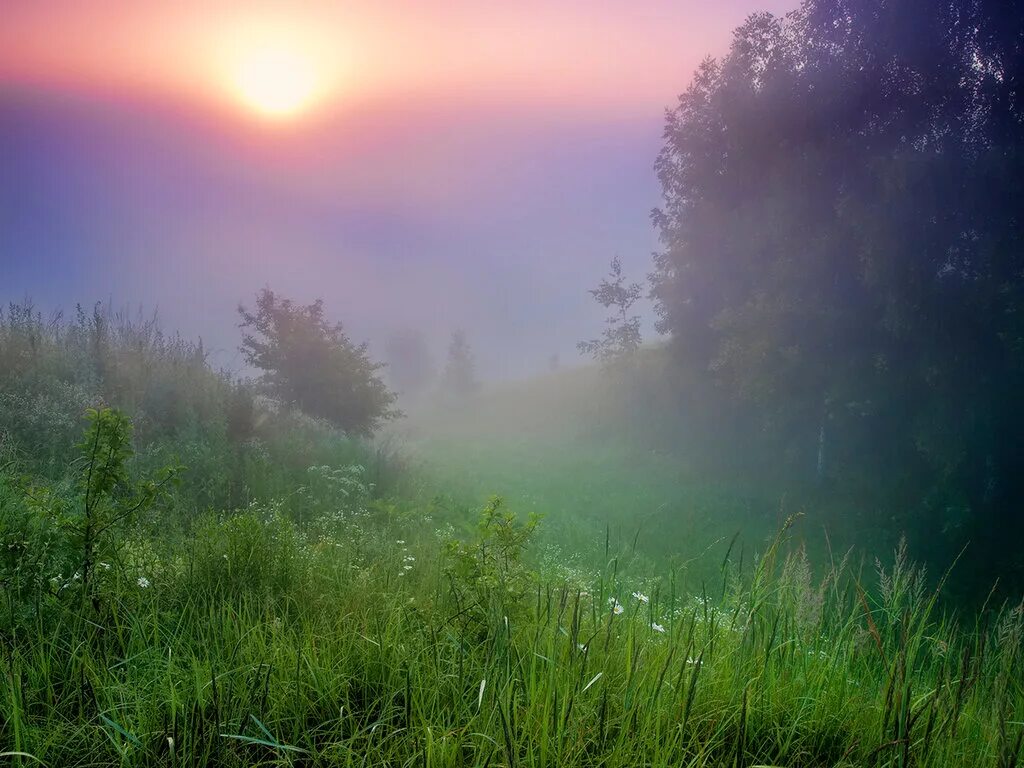 Лес туман лето. Утренний пейзаж. Утренний туман. Туманный пейзаж. Утренний туман природа.