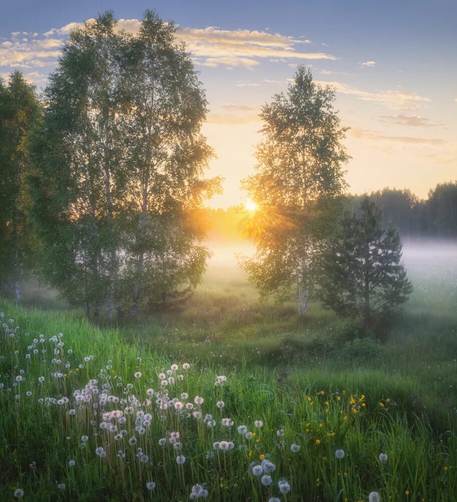 Утренний пейзаж. Утро природа. Пейзажи России. Красивые пейзажи добрым утром картинки