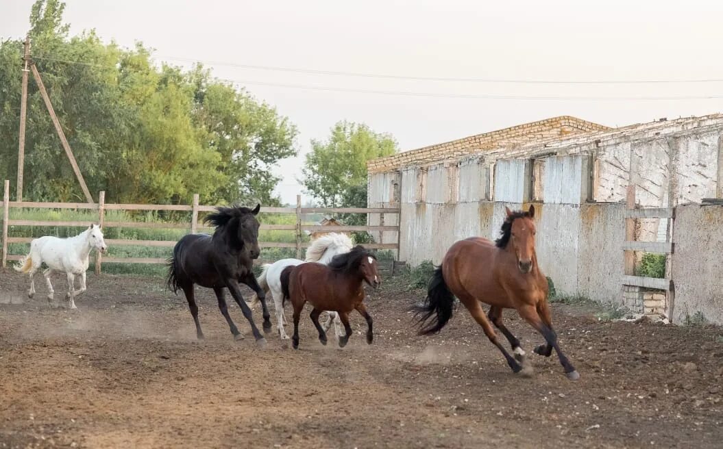 Толстый мыс красноярский край новоселовский. Деревнячорнаякомановоселовскийрайон. Дорога улан удэ тарбагатай. Кома новоселовский район красноярский край. Улан удэ деревня.