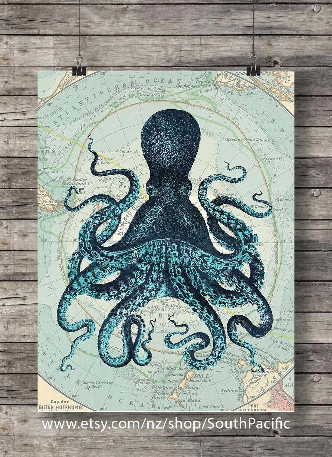 Осьминог Кракен. Осьминог Винтаж. Octopus иллюстрации. Винтажный Постер осьминог.