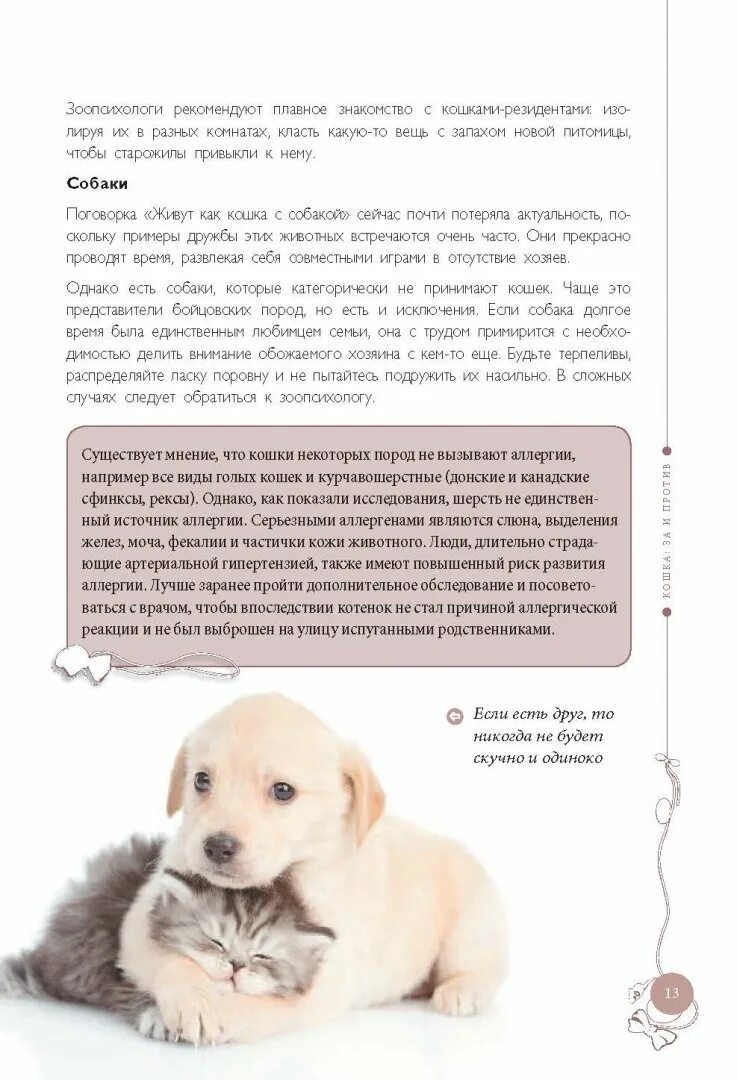 Как воспитать ласкового котенка. Как воспитать котёнка правильно. как нужно воспитывать кота. как познакомить кошку с собакой.