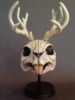 Череп зайца