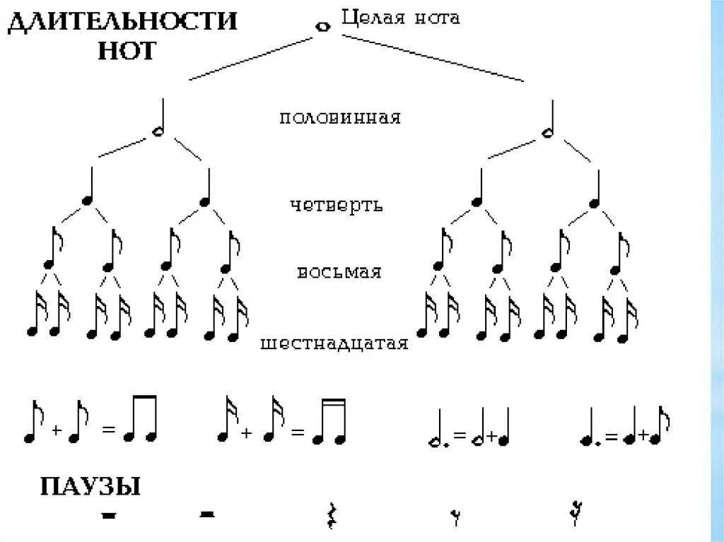 Восьмой шестнадцать. Длительности нот таблица. Длительности нот и пауз таблица. Таблица деления длительностей нот. Таблица длительностей сольфеджио.