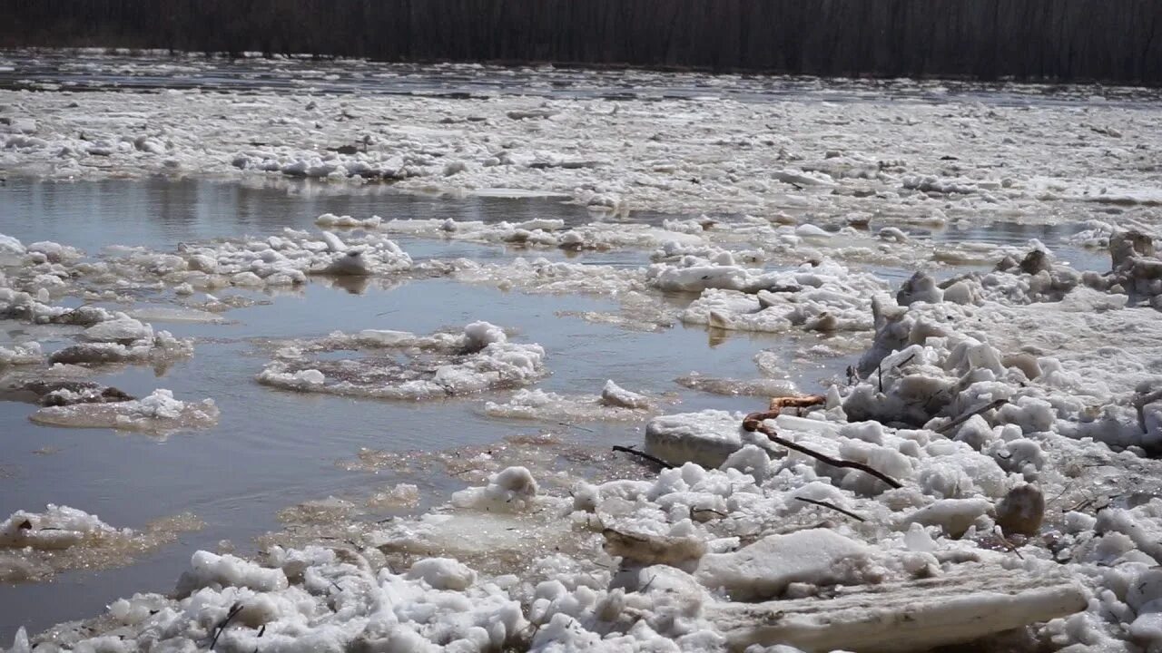 Ледоход видео для детей. Бийск ледоход на реке Бия. Ледоход на бии 2023. Ледоход алей.