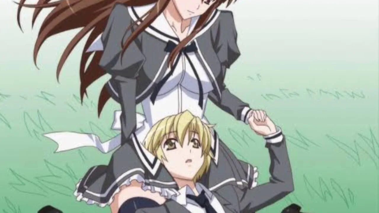 Aki sora аниме. Аки аой аниме. Аки и сроки. Аки из аниме аки и сора. Аки аой аниме.