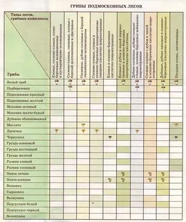 При какой температуре грибы