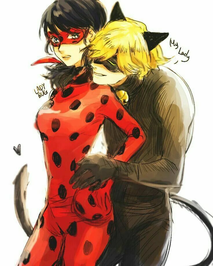 Ladybug and cat noir stronger together