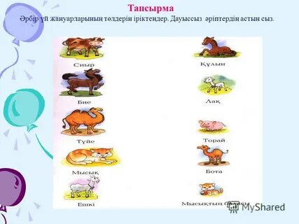 Порноны тұтқындарға қойды, қаншық.